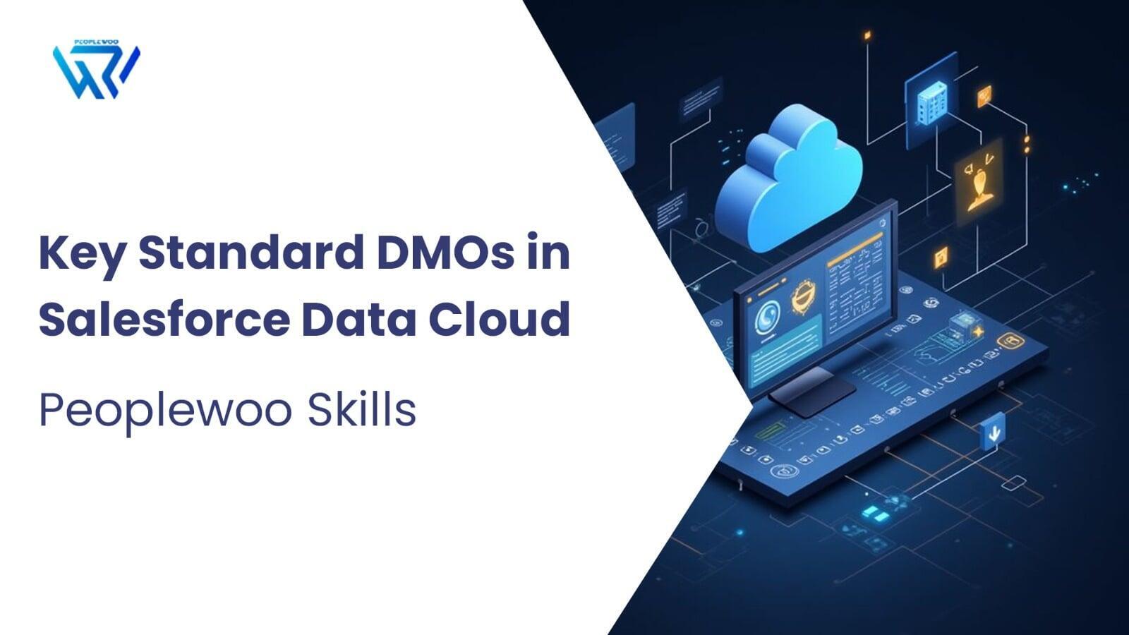 Key Standard DMOs in Salesforce Data Cloud | Peoplewoo Skills